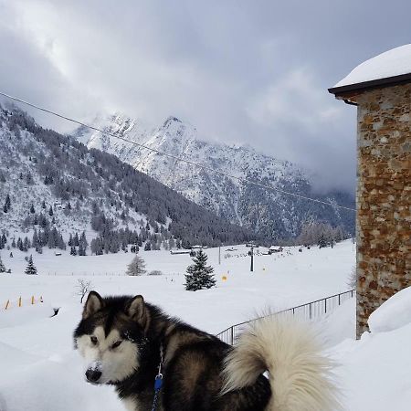 Sci Ai Piedi,Passeggiate,Mountain Bike,Relax Apartment Passo del Tonale Exterior photo